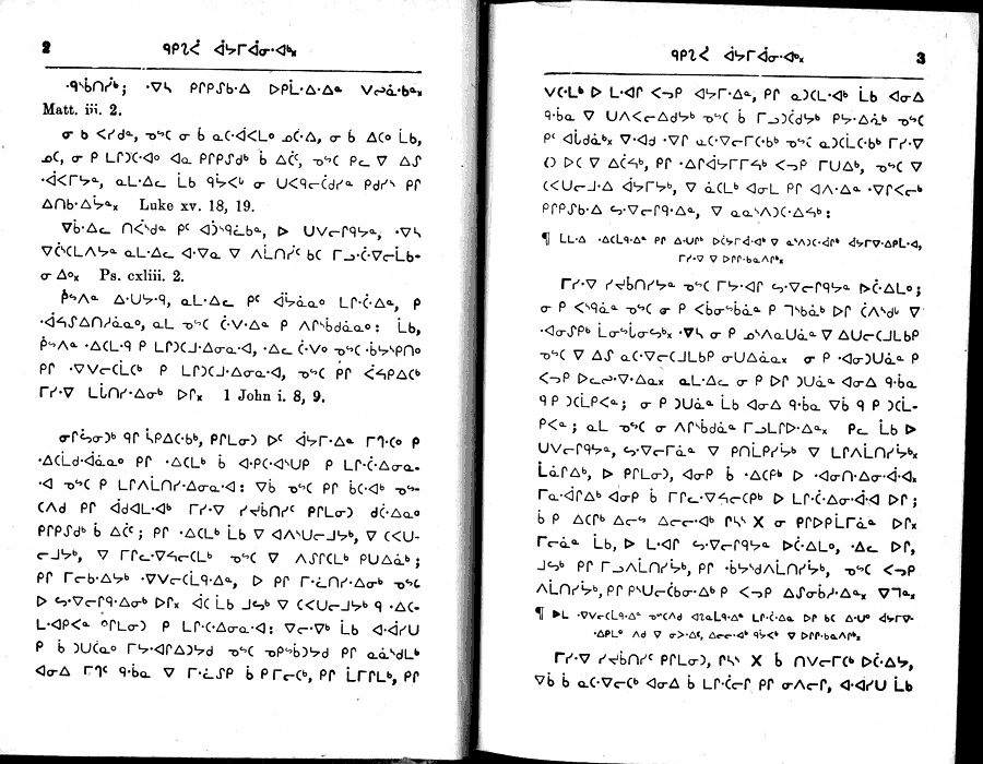 pages 2 & 3